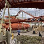 Reptilian ( King's Dominion )