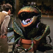 Audrey II (""Little Shop of Horrors")