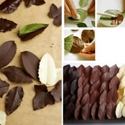 Chocolate Leaves