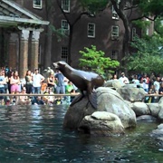 Central Park Zoo