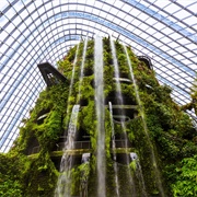 Cloud Forest, Singapore