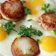 Egg and Scallop