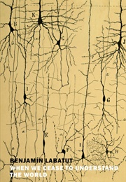 When We Cease to Understand the World (Benjamín Labatut)