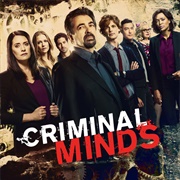 Criminal Minds (2005 - 2020)