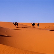 Sahara Desert