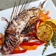 Lionfish