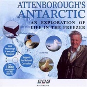 Attenborough's Antarctic BBC Multimedia