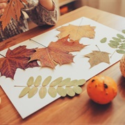 Create a Leaf Craft