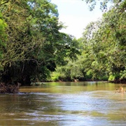 Rio Frio, Costa Rica