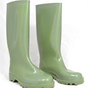 Welly Boots