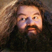 Rubeus Hagrid - Robbie Coltrane