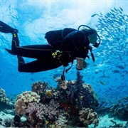 Complete Master Diver Certificate