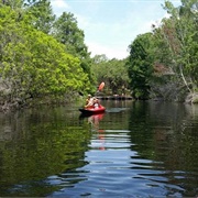 Fruitland Park, Florida