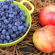 Apple and Blueberry
