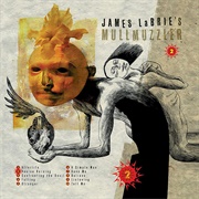 Mullmuzzler - James Labrie's Mullmuzzler 2