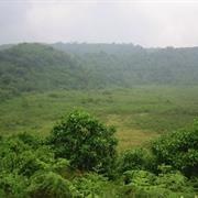 Kahuzi-Biega National Reserve, Bukavu, DR Congo
