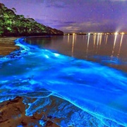 Luminous Lagoon, Falmouth, Jamaica