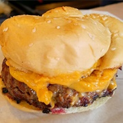 Illinois - Paradise Pup