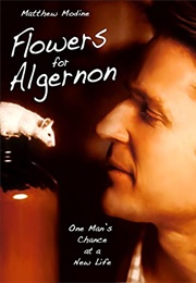 Flowers for Algernon (2000)