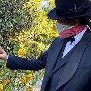 Mach's Hard Lemonade