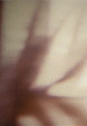 Passage Through: A Ritual (1990)