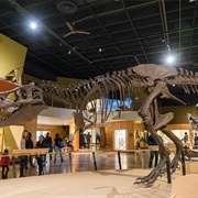 Cleveland Museum of Natural History