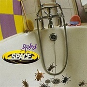 Spiders - Space