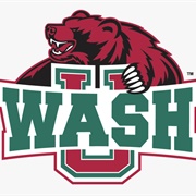 Washington University in St. Louis