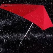 Storm Proof Umbrella