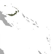 Andersen's Naked-Backed Fruit Bat