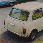 Said the Whale - Dandelion