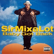 "Baby Got Back" - Sir Mix-A-Lot