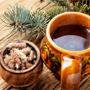 Pine Bud Tea
