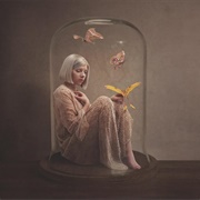 Winter Bird - AURORA