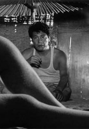 Woman in the Dunes (1964)