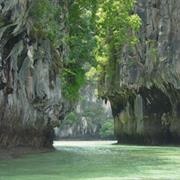 Taï National Park, Côte D'ivoire