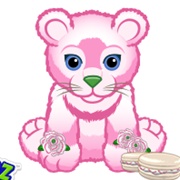 Peppermint Carnation Lion Cub