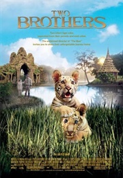 Two Brothers (2004)