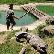 Crocodile Creek, Tongaat, South Africa