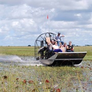Ride on a Airboat Everglades National Park, Florida, USA