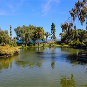 Parque Du Santa Catarina Funchal