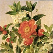 Flowers (Johan Laurents Jensen)