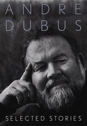 &#39;The Fat Girl&#39; in Selected Stories (Andre Dubus)