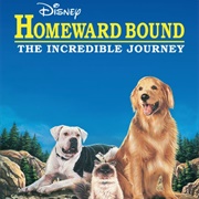 Homeward Bound (1993)