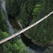 Cross Capilano Suspension Bridge (BC)