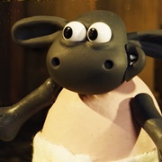 Timmy (Shaun the Sheep)