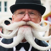 World Beard & Moustache Championships, Antwerp