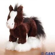 Lil Kinz Clydesdale