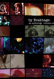 Commingled Containers (1996)