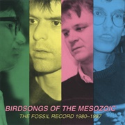Birdsongs of the Mesozoic - The Fossil Record (1980-1987)